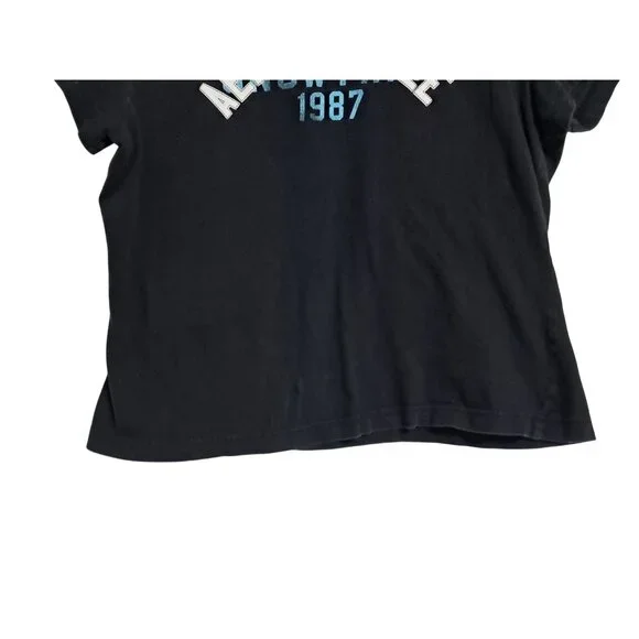 VTG Y2K Aeropostale Boyfriend Tee Size Large Cedar Pass Snow Park 1987 - Picture 6 of 9